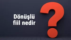 donuslu fiil nedir donuslu fiil ornekleri