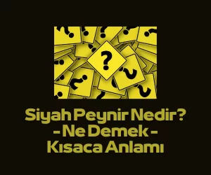 siyah peynir anlami nedir ne demektir