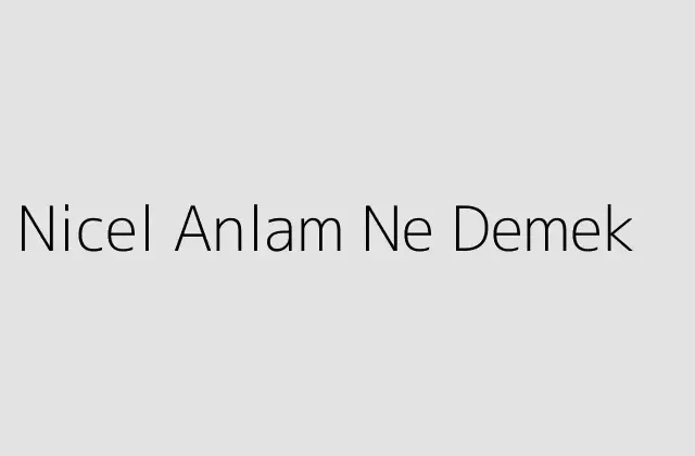 Nicel Anlam Ne Demek