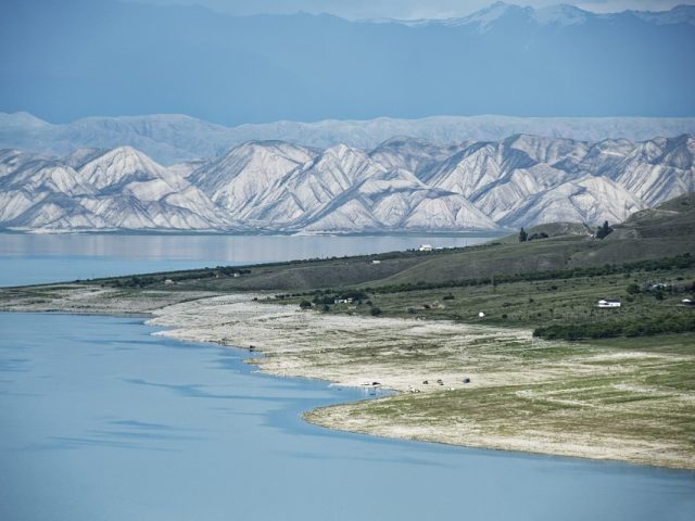 Tokat Halı Yıkama