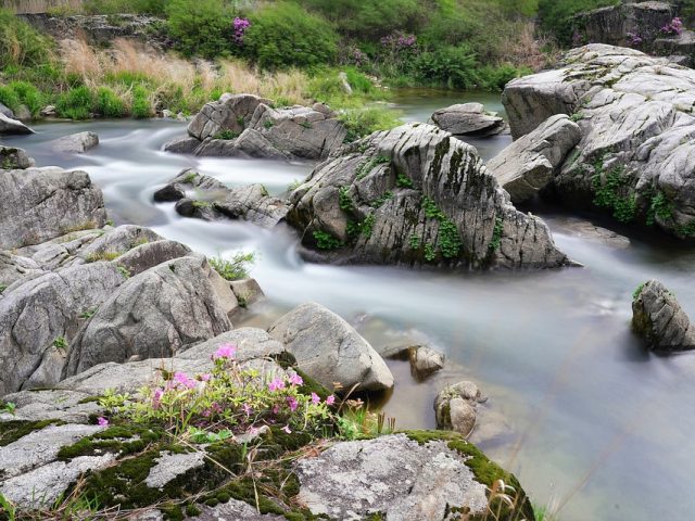 Tokat Üroloji