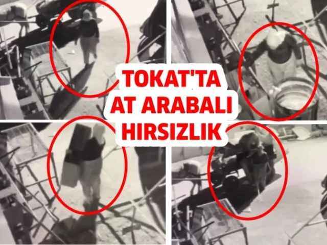 TOKAT’TA AT ARABALI KADIN HIRSIZLAR KAMERAYA YAKALANDI