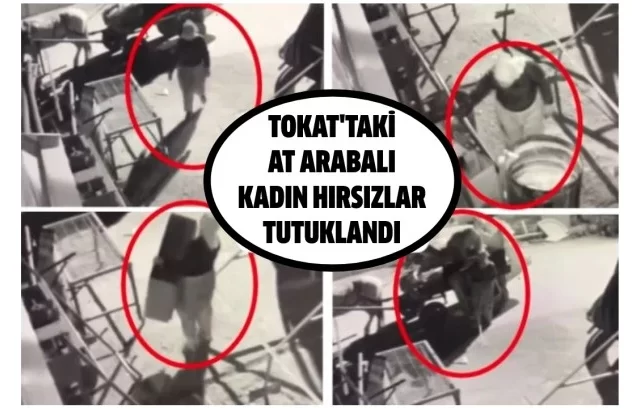 TOKAT’TA AT ARABALI KADIN HIRSIZLAR TUTUKLANDI