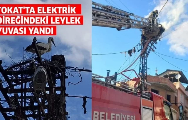 tokat ta elektrik diregindeki leylek yuvasi yandi 442703.webp