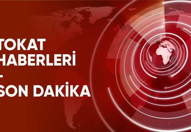 Tokat'ta saldırgan karga mahalle sakinlerinin korkulu rüyası oldu