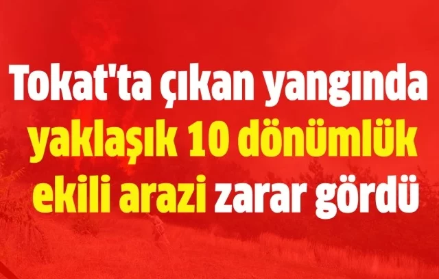 Tokat’ta 10 Dönümlük Eki̇li̇ Arazi̇ Yandi