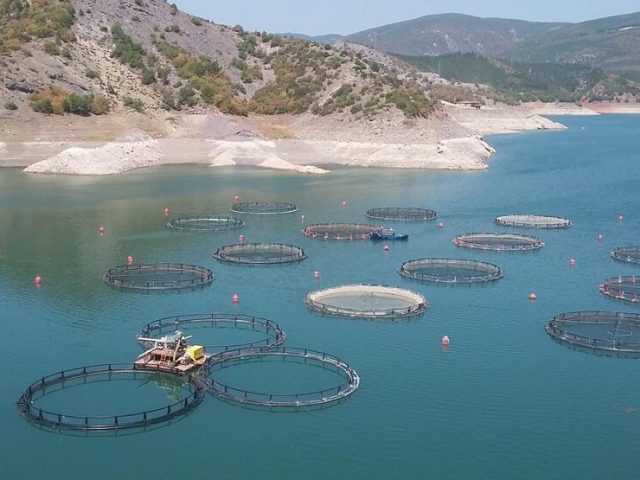 tokat almus baraj golunde oltacilari sevindirecek haber