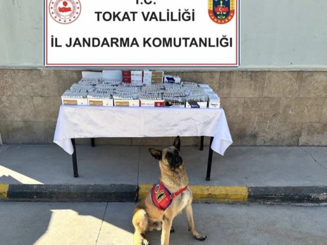 Tokat İl Jandarma Ekipleri Yasadışı Faliyetlere Geçit Vermiyor