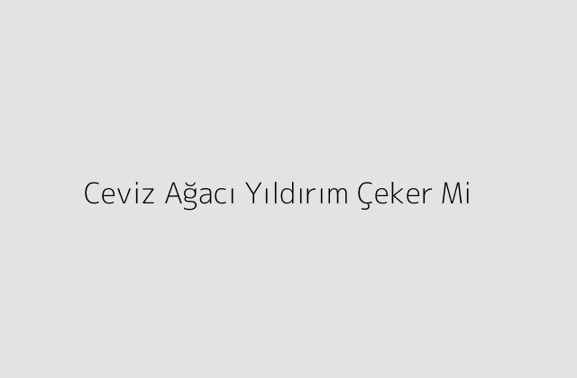 Ceviz Ağacı Yıldırım Çeker Mi