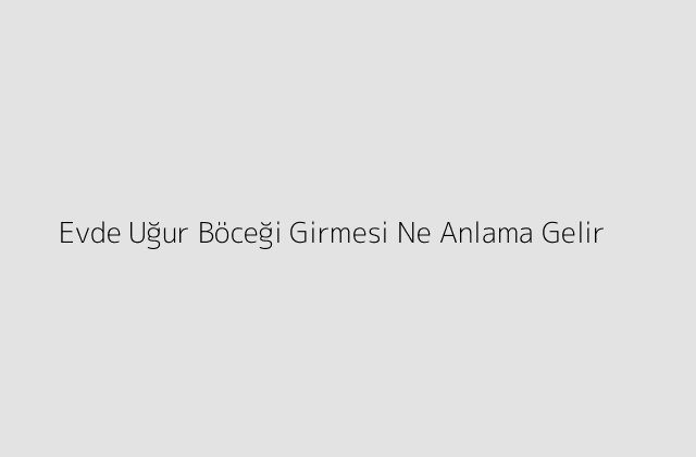 Evde Ugur Bocegi Girmesi Ne Anlama Gelir.pngtextEvde Ugur Bocegi Girmesi Ne Anlama Gelir