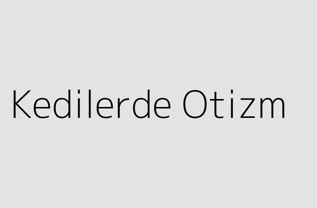 Kedilerde Otizm