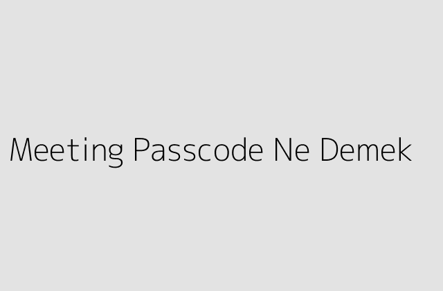 Meeting Passcode Ne Demek