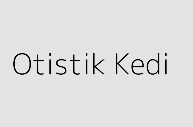 Otistik Kedi.pngtextOtistik Kedi