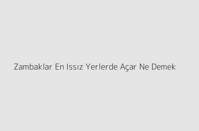 Zambaklar En Issız Yerlerde Açar Ne Demek