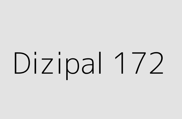 Dizipal 172