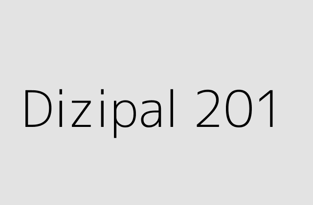 Dizipal 201