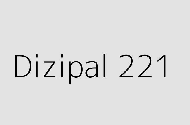 Dizipal 221