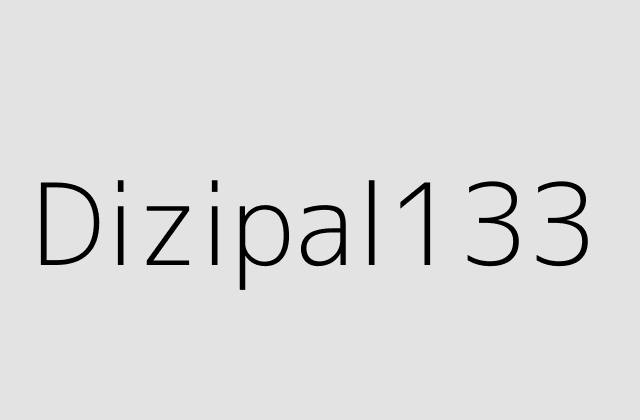 Dizipal133