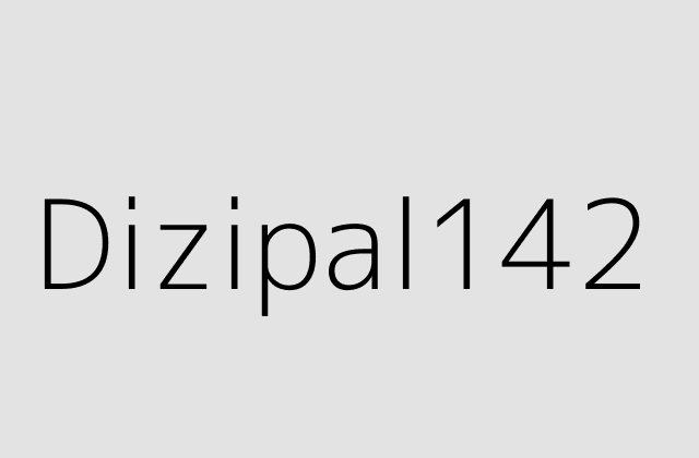 Dizipal142