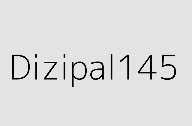 Dizipal145