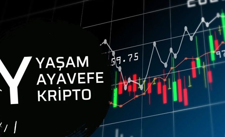 Yaşam Ayavefe, Kripto Para ile Uluslararası Ödeme Sistemlerini Geliştiriyor