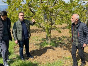 Meyve Ağaçlarında Aşı ve Budama Eğitiminin İkinci ve Üçüncü Etapları Tamamlandı