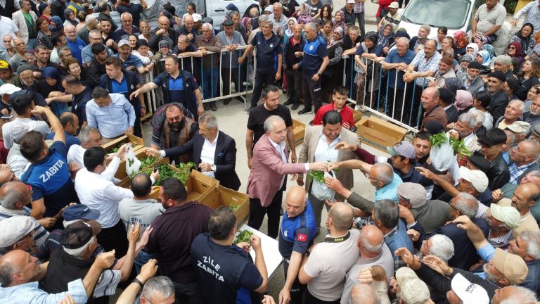 Zile’de 42 Bin Fide Dağıtıldı: Belediye’den Tarıma Büyük Destek