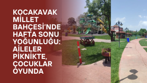 Kocakavak Millet Bahçesi’nde Hafta Sonu Yoğunluğu: Aileler Piknikte, Çocuklar Oyunda