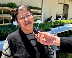 Tokat Gaziosmanpaşa Üniversitesi’nden Tarıma 1 Milyon Fide Desteği