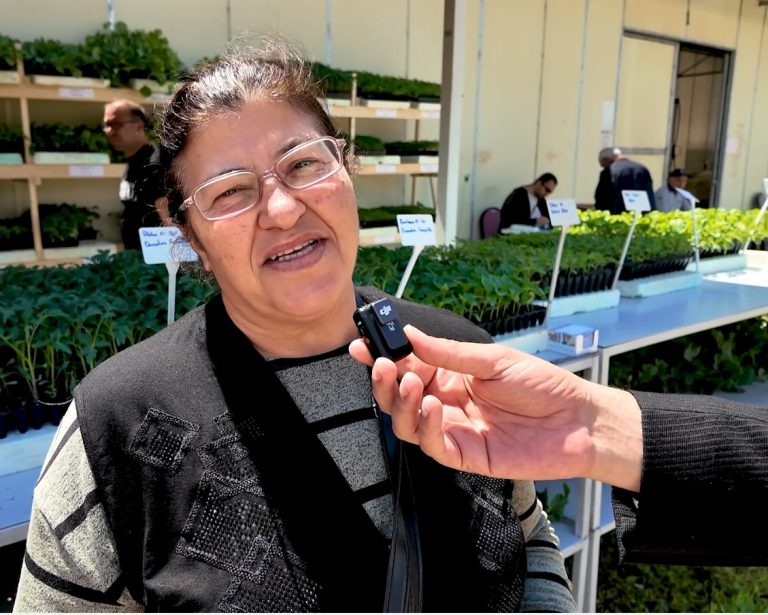 Tokat Gaziosmanpaşa Üniversitesi’nden Tarıma 1 Milyon Fide Desteği