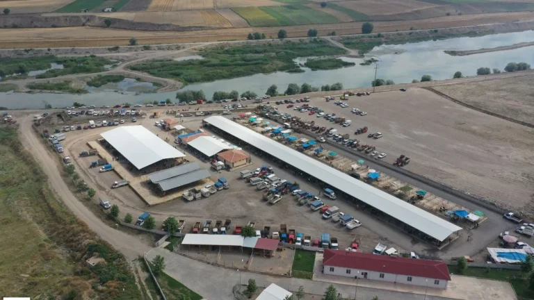 Erbaa Hayvan Pazarı Yine Kapatıldı! Kurban bayramı öncesi salgın hastalık riski mi arttı?