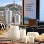 Tokat’ta süt sektörü buluşması gündemde: Çiğ süt fiyatında yeni karar var mı?